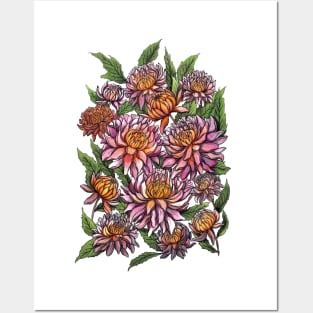 Chrysanthemum Flowers Posters and Art